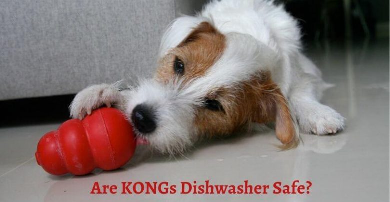 KONGs-Dishwasher